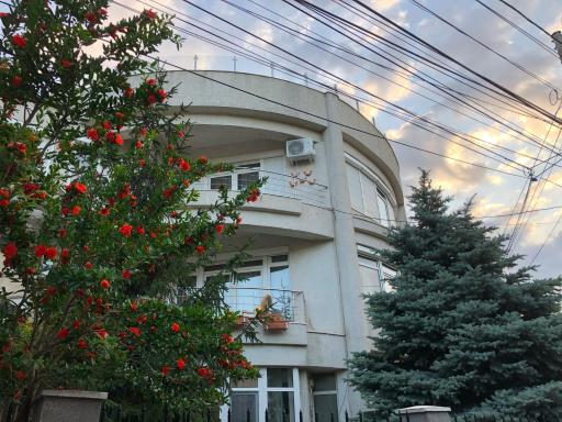 Pensiunea Pont-Euxin - Housity