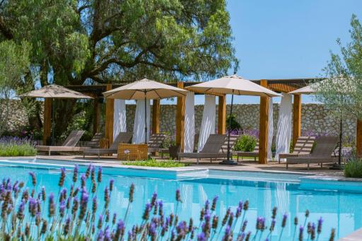 Viñedos San Francisco - Housity