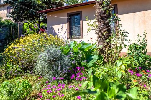 Little garden house - Housity