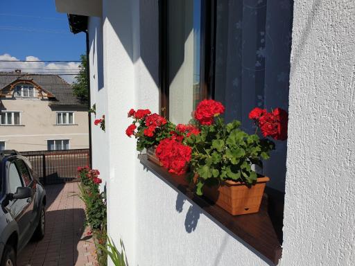 Casa Dalina - Housity