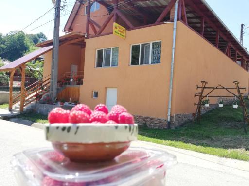 Fructele Padurii - Housity
