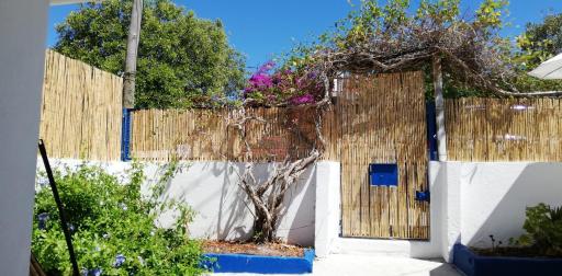 16 Casa Azul - Housity