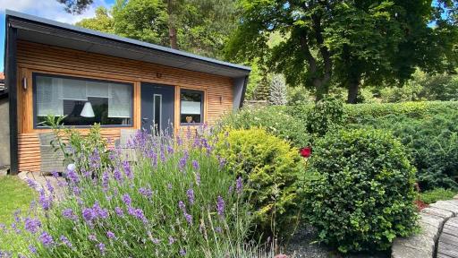 Das Ferienhaus am Tiergarten - Housity