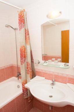 Ivana Palace Hotel - Free Parking - Housity