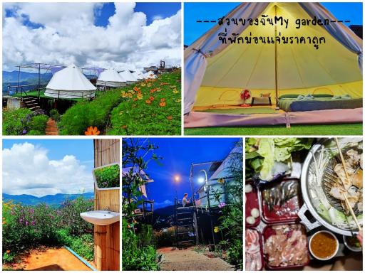 สวนของฉันม่อนแจ่ม - Housity