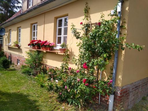 Ferienwohnung Domäne Süpplingenburg - Housity