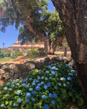 Apartamentos Rurales La Macera **** - Housity