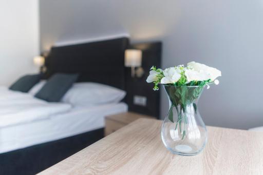 Apartmány Homér Plzeň - Housity