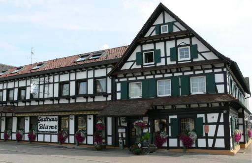 Hotel Landgasthof Blume - Housity