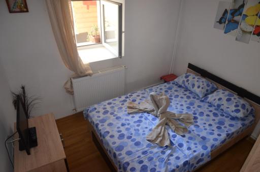 Casa cu fluturi - Housity