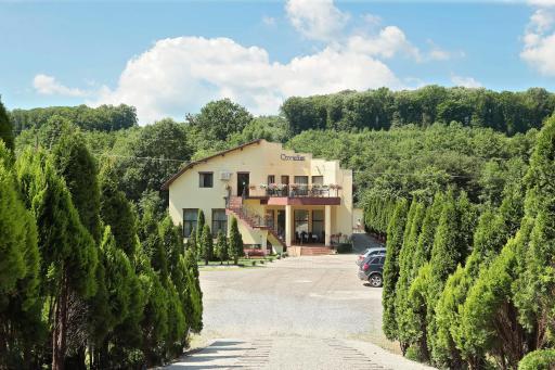 Pensiunea Cavaler - Housity