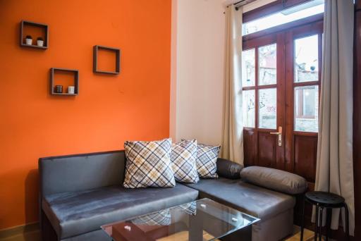 Orange Geranium - Housity
