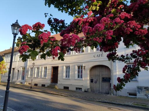 Alte Lebkuchenfabrik - Housity