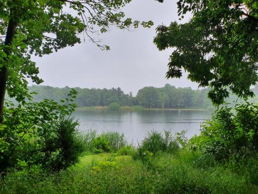 Wohnung am See - Housity