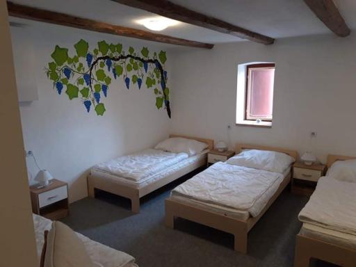 Penzion Na Vyhlídce - Housity