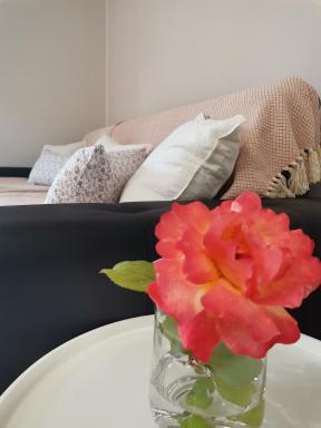 Apartma VRTNICA - Housity