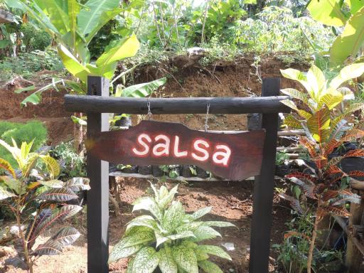 Penginapan Salsa - Housity