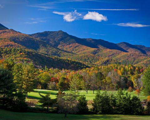 Mt Mitchell Cabin Rentals - Housity