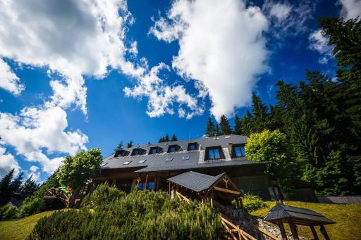 Horský hotel Vidly - Housity