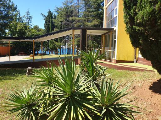 Youth Hostel Pinesta - Housity