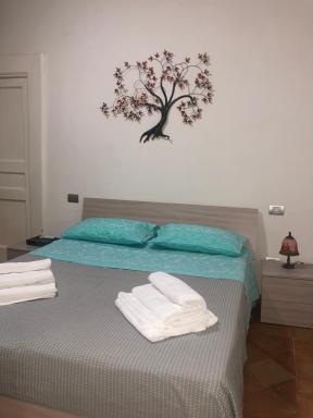 MACALELU HOUSE - Housity