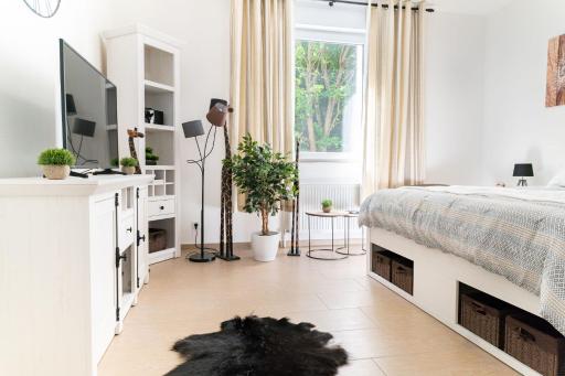 Beautiful Apartment in town centre (TLA/TDY/TLF) - Housity