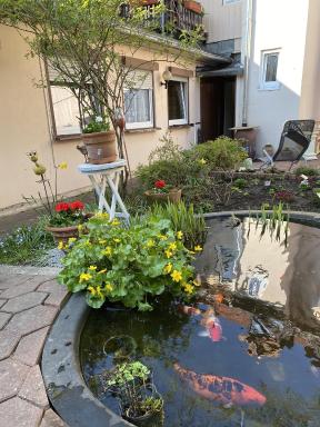 Ferienwohnung Bongartz - Housity