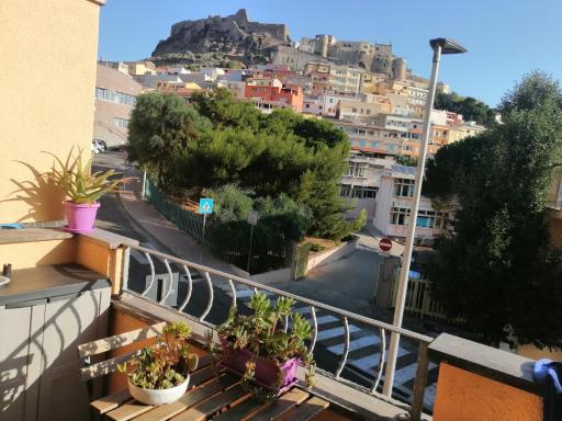 Cavalluccio Marino - Housity