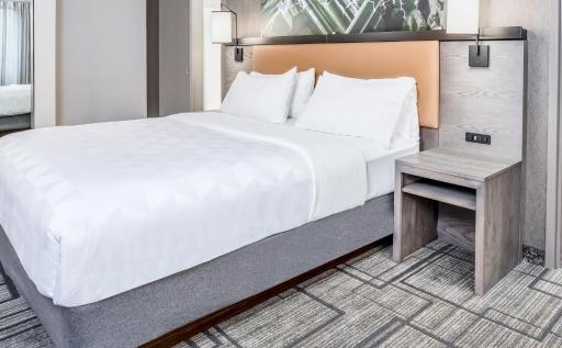 Holiday Inn Lafayette-City Centre, an IHG Hotel - Housity