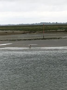 Baie à Deux - Housity