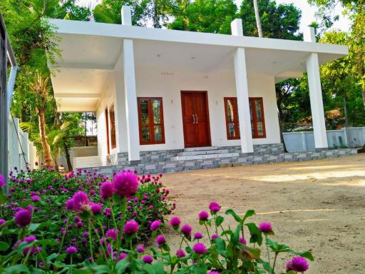 Coconut Garden - Housity