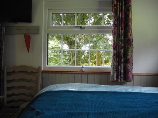 The Owl Hoot - Housity