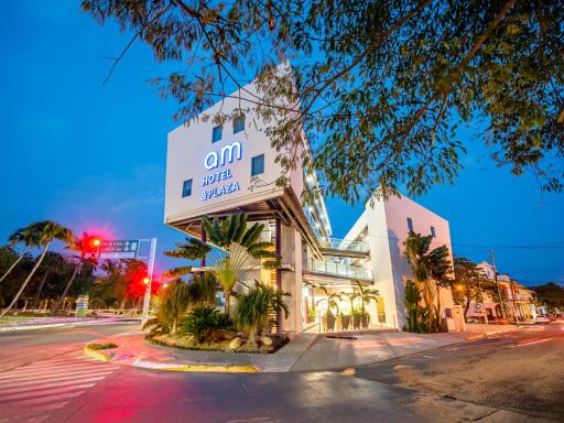 AM Hotel y Plaza - Housity