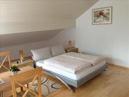 Ferienwohnung Mühlbach - Housity