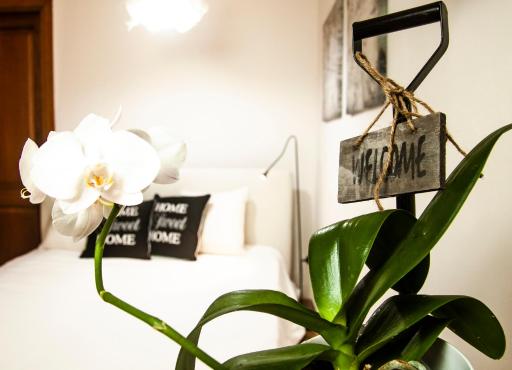Suite Home Al Centro Di Sassari - Housity