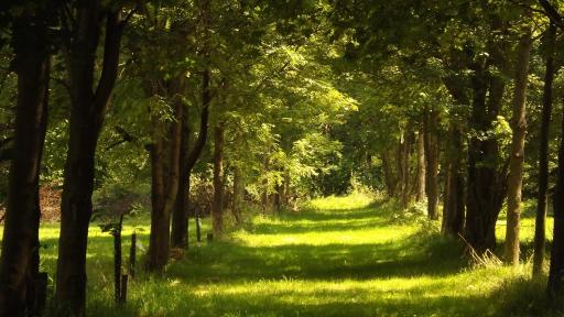 Gorenice Agroturystyka Pod Brzeziem - Housity