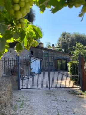 Casetta Santa Fortunata Guest House - Hizvo
