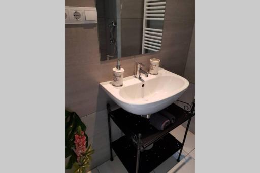 Cozy apartment in the heart of Kecskemet - Housity
