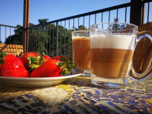 Rivka's Ein Gedi - Housity