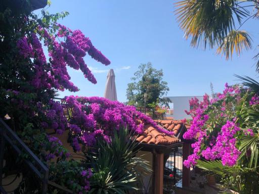 Apartments Ana - Housity