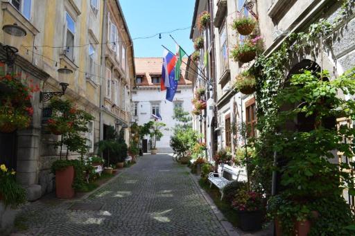 Codelli Deluxe City Centre Apartments - Housity