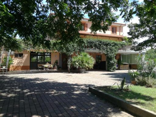 Guesthouse Škofije ob Parenzani - Housity