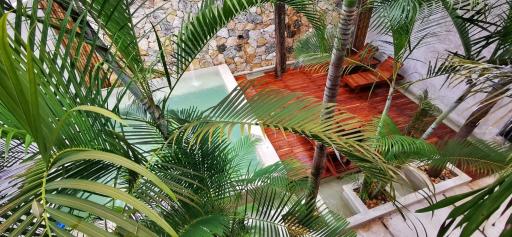 Hotel Casa Bamboo - Housity