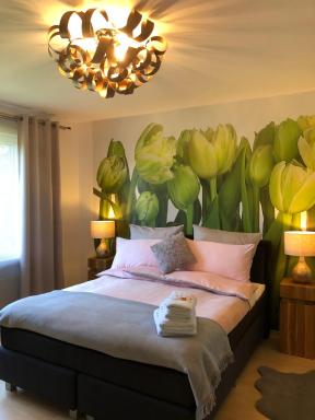 Apartment-47 Fulda - Hizvo