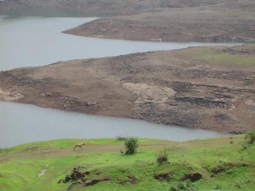 3bhk villa - Housity