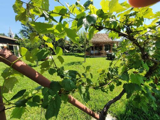 Valchid Guest House - Housity