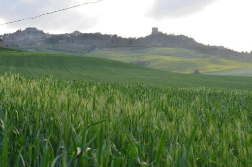 Val d'Orcia nel Borgo - Housity