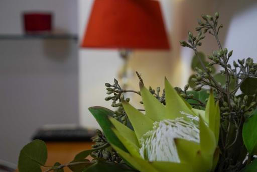 Boutique Guest Accommodation Zephyrus - Housity
