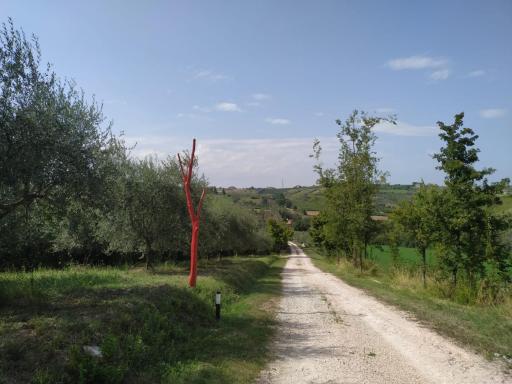 La Silvana B&B - Housity