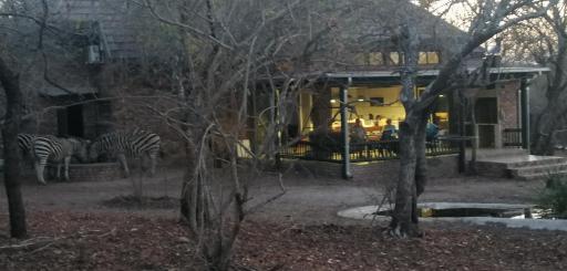 Coga Cottage - Marloth Park - Housity